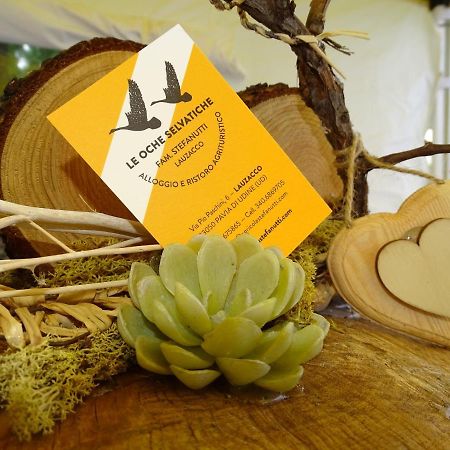 Agriturismo Le Oche Selvatiche Lauzacco Eksteriør bilde