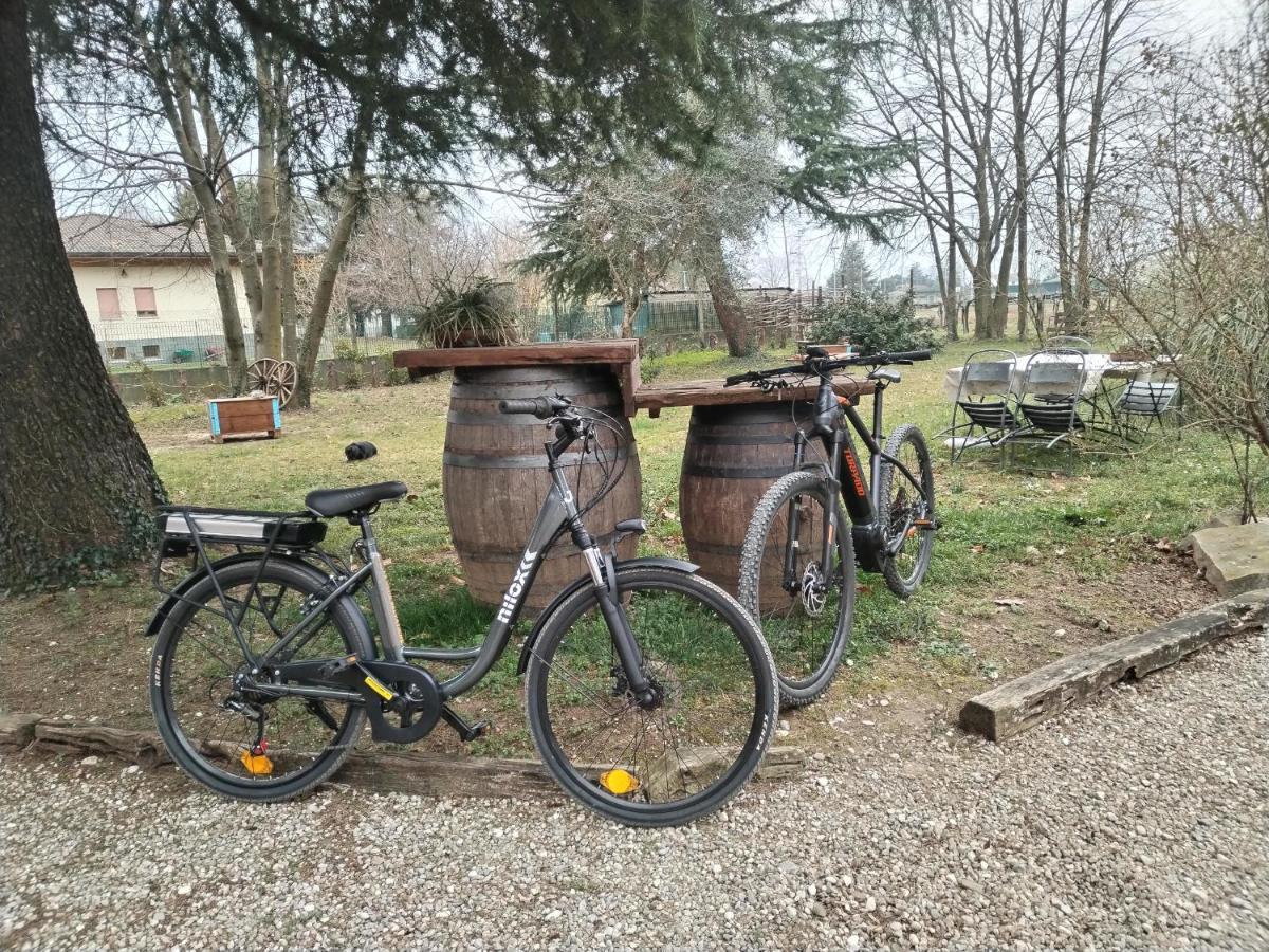 Agriturismo Le Oche Selvatiche Lauzacco Eksteriør bilde