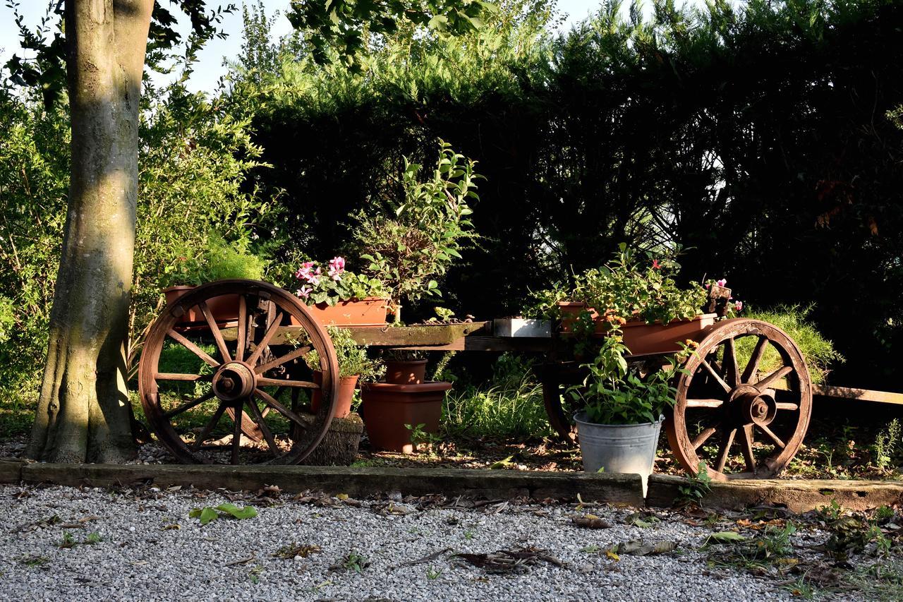 Agriturismo Le Oche Selvatiche Lauzacco Eksteriør bilde