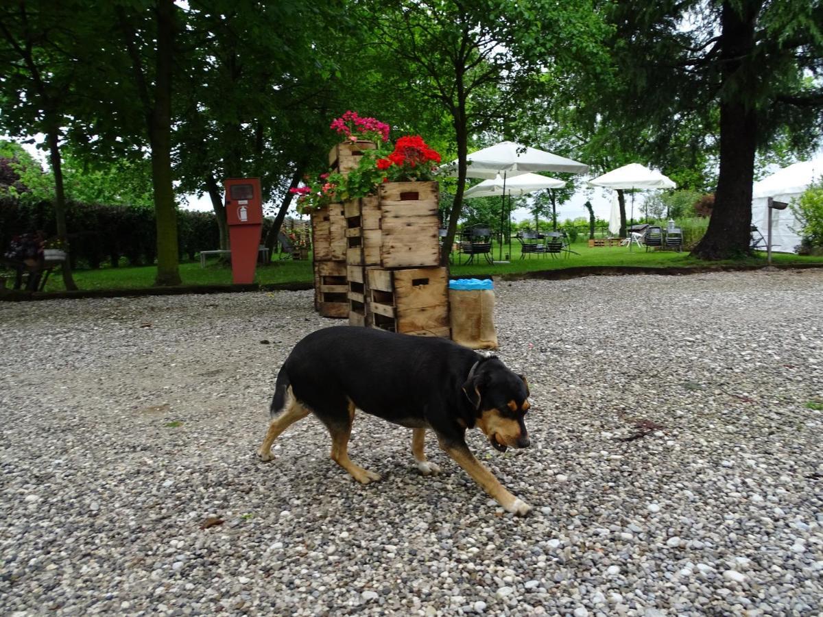 Agriturismo Le Oche Selvatiche Lauzacco Eksteriør bilde